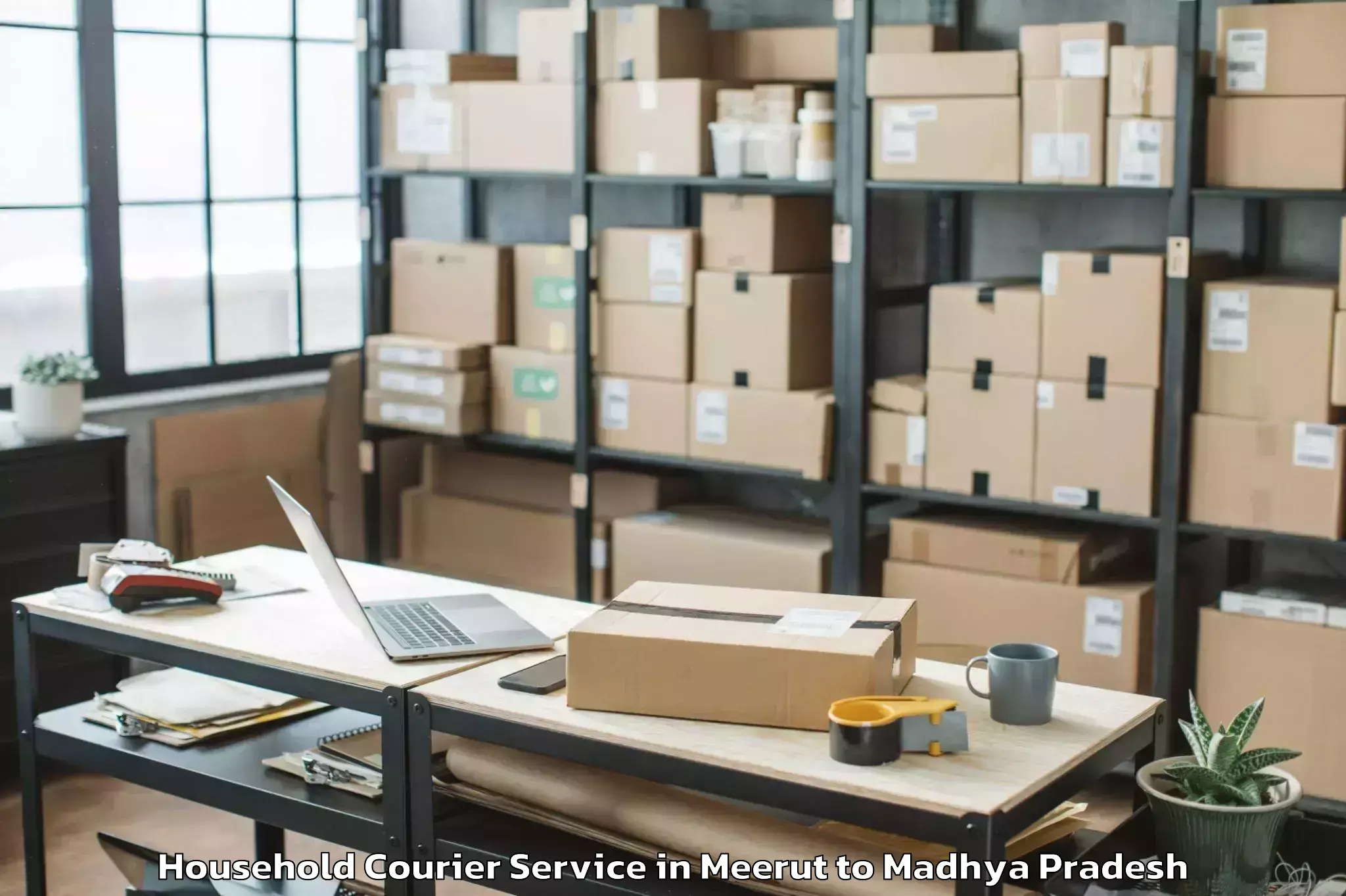 Reliable Meerut to Kurwai Household Courier